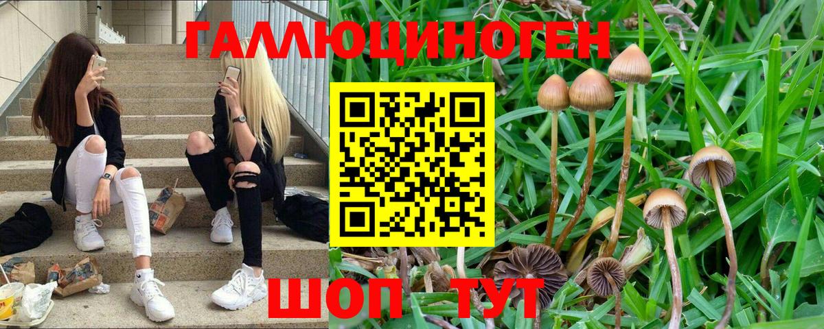 Галлюциногенные грибы прущие грибы  Вход с VPN  Красноярск 